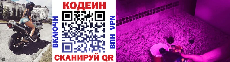 Кодеиновый сироп Lean Purple Drank  закладки  Кузнецк 