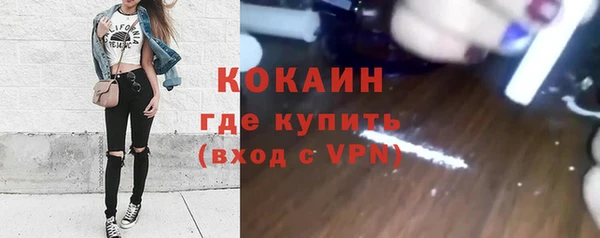 гидра Белокуриха